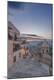Premium Photographic Print