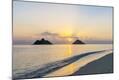 Premium Photographic Print