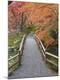 Premium Photographic Print