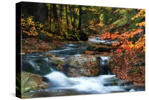 Moss Art Prints Paintings Posters Framed Wall Artwork For