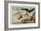 Robbing an Eagle's Nest in the Year 2000-null-Framed Giclee Print