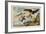 Robbing an Eagle's Nest in the Year 2000-null-Framed Giclee Print