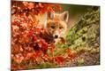 Photographic Print