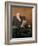 Robert Allan of Kirkliston, 1800-Sir Henry Raeburn-Framed Giclee Print