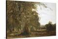 Stretched Canvas Print