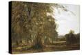 Stretched Canvas Print