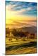 Premium Photographic Print