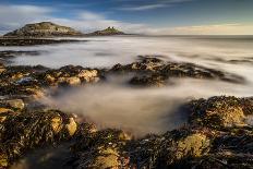 Receding tide at dawn, Oxwich Bay, Gower Peninsula, Swansea, Wales, United Kingdom, Europe-Robert Canis-Photographic Print