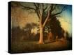 Stretched Canvas Print