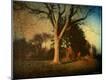 Photographic Print