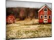 Premium Photographic Print