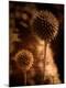 Premium Photographic Print