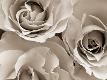 Premium Photographic Print