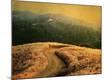 Premium Photographic Print