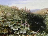 On the Riverbank-Robert Collinson-Giclee Print