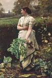 Picking Turnips-Robert Crawford-Mounted Giclee Print