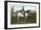 Robert E. Lee on Horse, Gettysburg, Pennsylvania-null-Framed Art Print