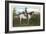 Robert E. Lee on Horse, Gettysburg, Pennsylvania-null-Framed Art Print