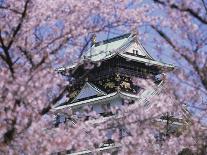 Cherry Blossoms in Front of Osaka Castle-Robert Essel-Photographic Print