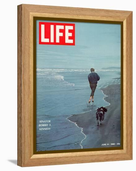 Robert F. Kennedy Jogging on the Beach with his Dog, June 14, 1968-Bill Eppridge-Framed Premier Image Canvas