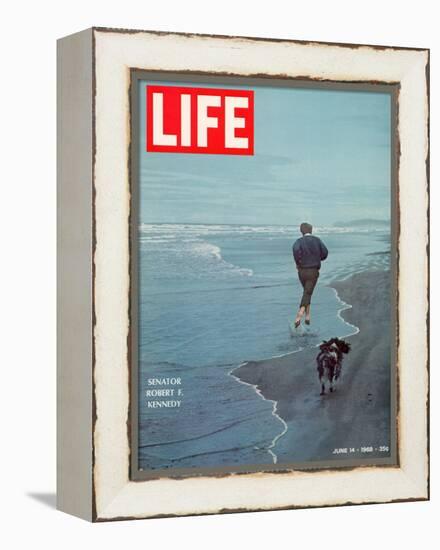 Robert F. Kennedy Jogging on the Beach with his Dog, June 14, 1968-Bill Eppridge-Framed Premier Image Canvas