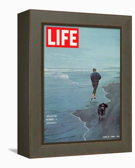 Robert F. Kennedy Jogging on the Beach with his Dog, June 14, 1968-Bill Eppridge-Framed Premier Image Canvas