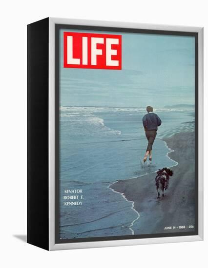 Robert F. Kennedy Jogging on the Beach with his Dog, June 14, 1968-Bill Eppridge-Framed Premier Image Canvas
