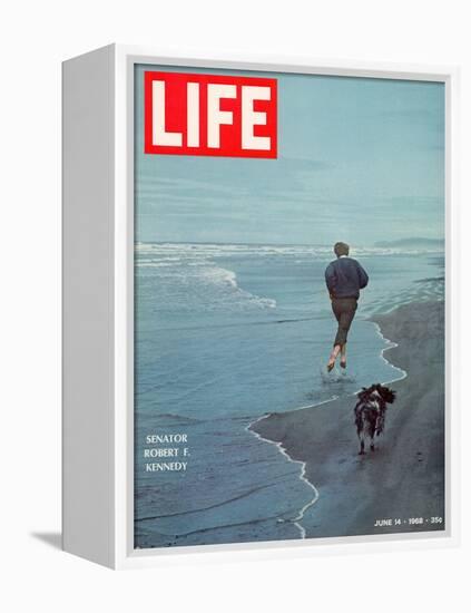 Robert F. Kennedy Jogging on the Beach with his Dog, June 14, 1968-Bill Eppridge-Framed Premier Image Canvas