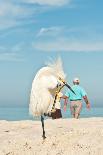 Snowy Egret Standing on Sandy Beach on One Leg and Showing Feathers-Robert F Leahy-Photographic Print