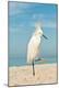 Premium Photographic Print