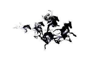 Black Horses by Robert Farkas