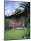 Photographic Print