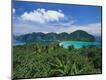 Photographic Print