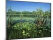 Photographic Print