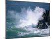 Photographic Print