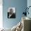 Robert Frost-Eric Schaal-Premium Photographic Print displayed on a wall