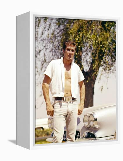 Robert Fuller-null-Framed Stretched Canvas