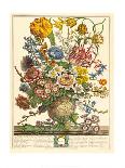 November-Robert Furber-Giclee Print