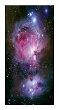 Veil Supernova Remnant-Robert Gendler-Giclee Print