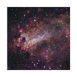 The Trifid Nebula in Sagittarius-Robert Gendler-Framed Giclee Print