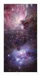 The Great Nebula in Orion-Robert Gendler-Giclee Print