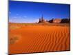 Photographic Print