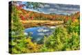 Stretched Canvas Print
