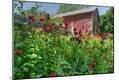 Premium Photographic Print