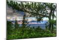 Photographic Print