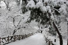 Central Park Path Deep Snow-Robert Goldwitz-Photographic Print