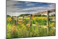 Photographic Print