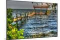 Premium Photographic Print