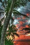 Key West Sunset II-Robert Goldwitz-Photographic Print