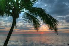 Key West Vertical with Schooner-Robert Goldwitz-Photographic Print